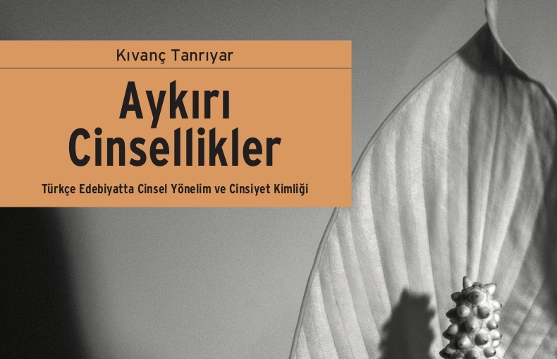 Lambdaistanbul “Aykırı Cinsellikler” kitabını konuşacak Kaos GL - LGBTİ+ Haber Portalı