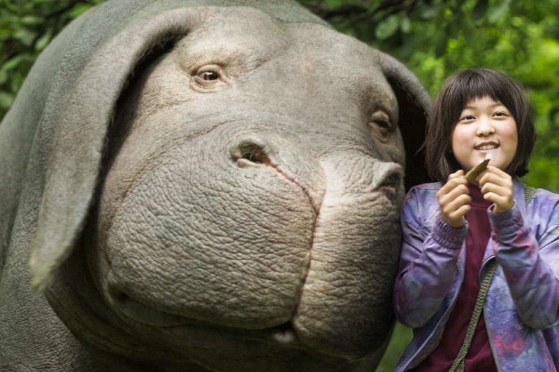 Lavender’den dönemin ilk gösterimi: Okja Kaos GL - LGBTİ+ Haber Portalı