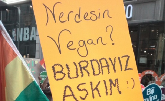 Lavender türcülükle yüzleşmeye çağırıyor Kaos GL - LGBTİ+ Haber Portalı