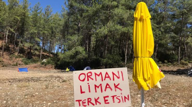 “LGBTİ+’lar Akbelen mücadelesinin yanında” Kaos GL - LGBTİ+ Haber Portalı