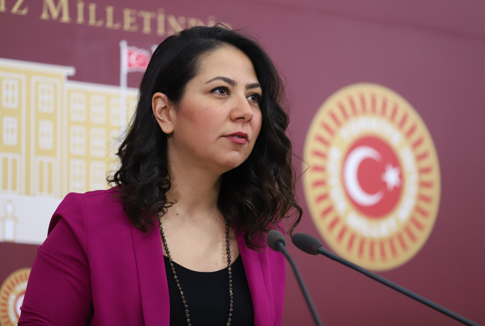 LGBTİ+’lara katliam çağrısı yapan broşür Meclis gündeminde Kaos GL - LGBTİ+ Haber Portalı