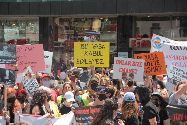 LGBTİ+’lardan AYM’nin katliam yasası kararına tepki: “Tüm türlerin özgürlüğünü ve yaşamını savunmaya devam edeceğiz” | Kaos GL - LGBTİ+ Haber Portalı Haber