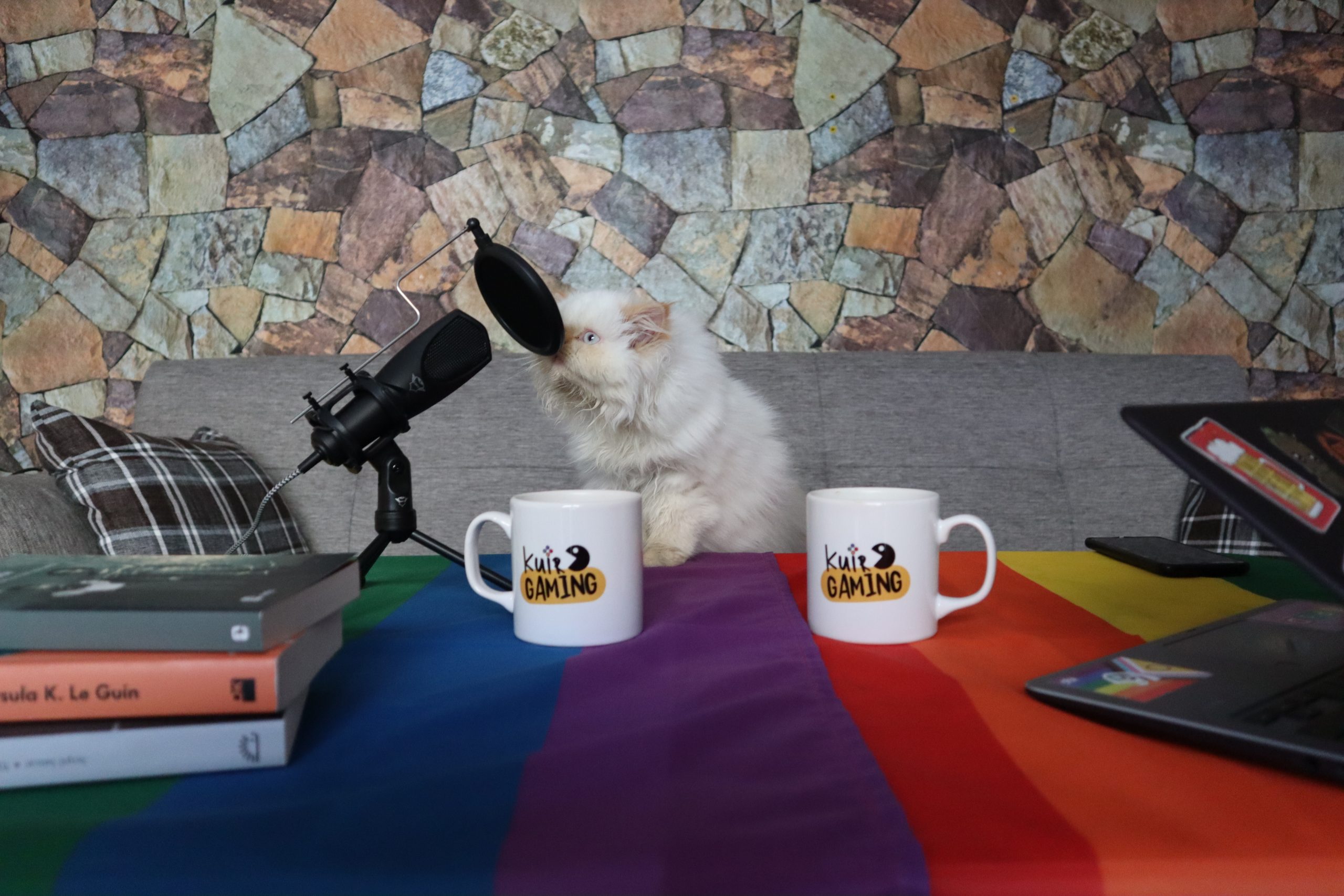 LGBTİ+ oyunseverler için platform: Kuir Gaming | Kaos GL - LGBTİ+ Haber Portalı Haber