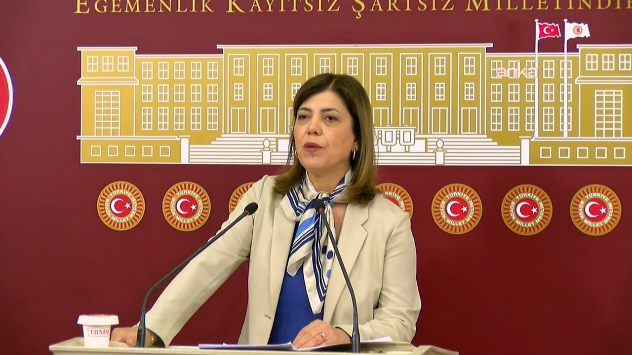 Meral Danış Beştaş: “LGBTİ+’lar zararlı bir akım değil, bir varlık mücadelesi” Kaos GL - LGBTİ+ Haber Portalı