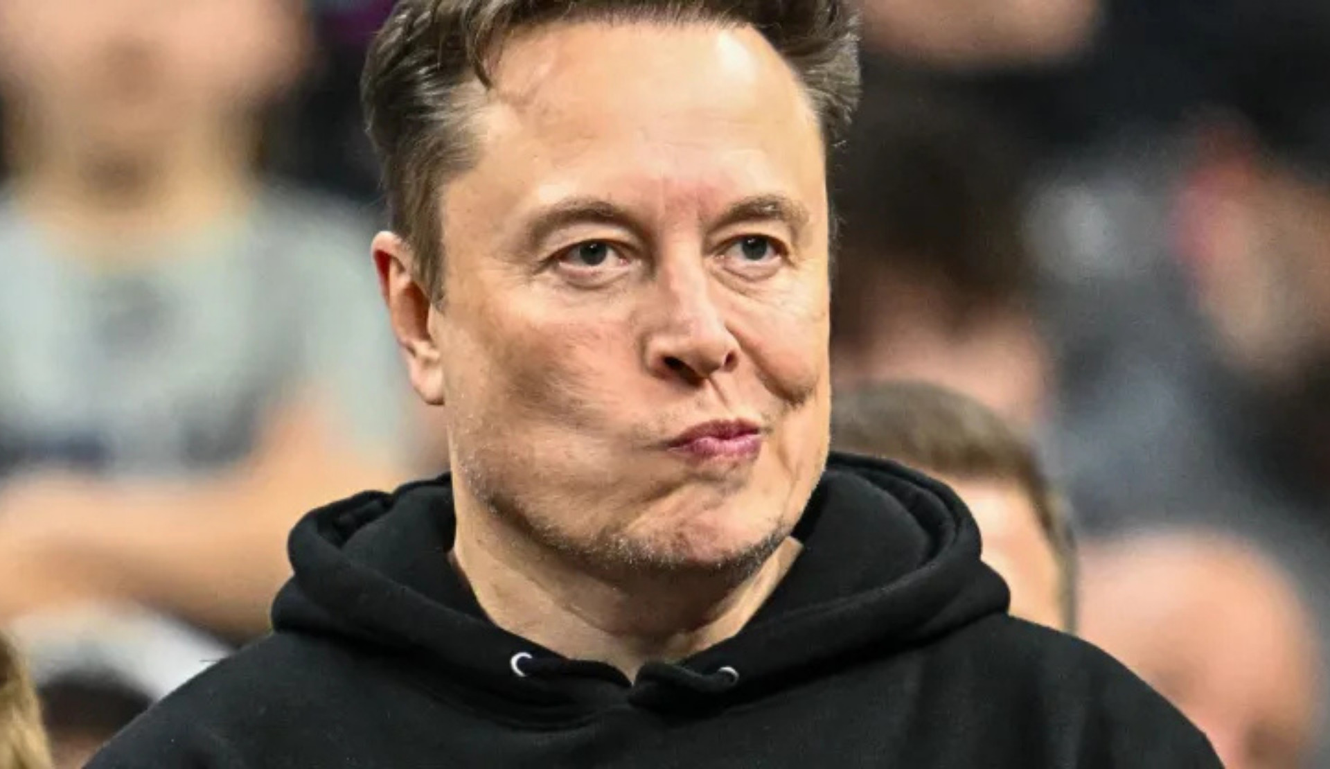 Musk’ın hedefinde şimdi de trans temsili içeren televizyon dizileri var Kaos GL - LGBTİ+ Haber Portalı