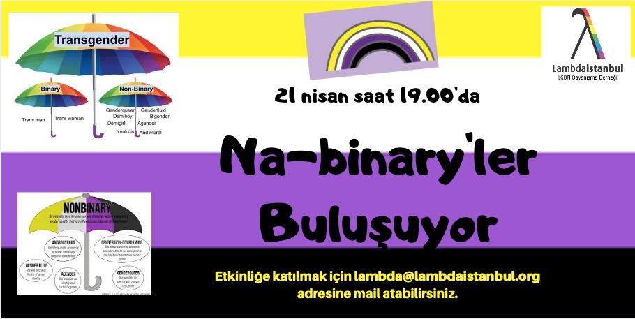Na-binary’ler Jitsi’de buluşuyor Kaos GL - LGBTİ+ Haber Portalı