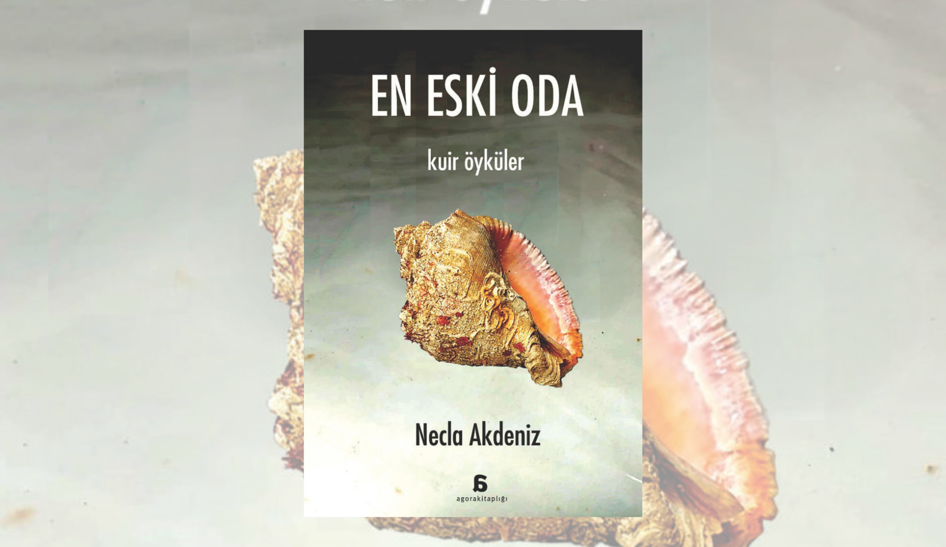 Necla Akdeniz’den kuir öyküler: En Eski Oda Kaos GL - LGBTİ+ Haber Portalı