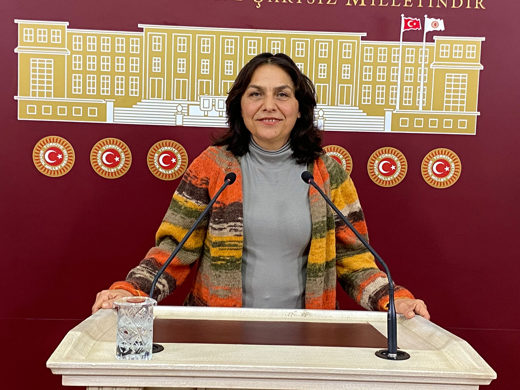 Özgül Saki, put digital violence against LGBTI+s on the parliamentary agenda | Kaos GL - News Portal for LGBTI+ News