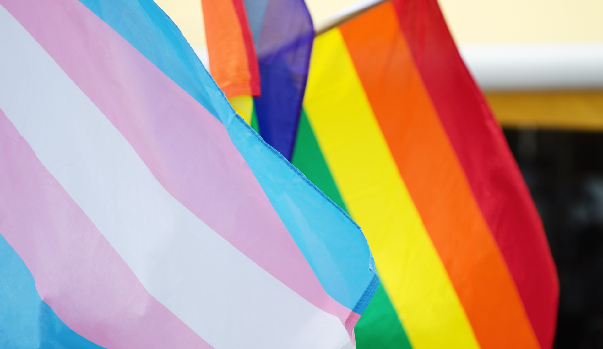 Pembe Hayat Danışma Hattı yeniden açılıyor! Kaos GL - LGBTİ+ Haber Portalı
