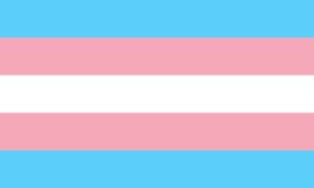 House of trans women injured in hate attack, was also sealed! Kaos GL - News Portal for LGBTI+
