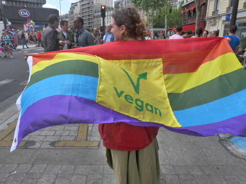 Queer veganlar: Suçlu değil onurluyuz! Kaos GL - LGBTİ+ Haber Portalı