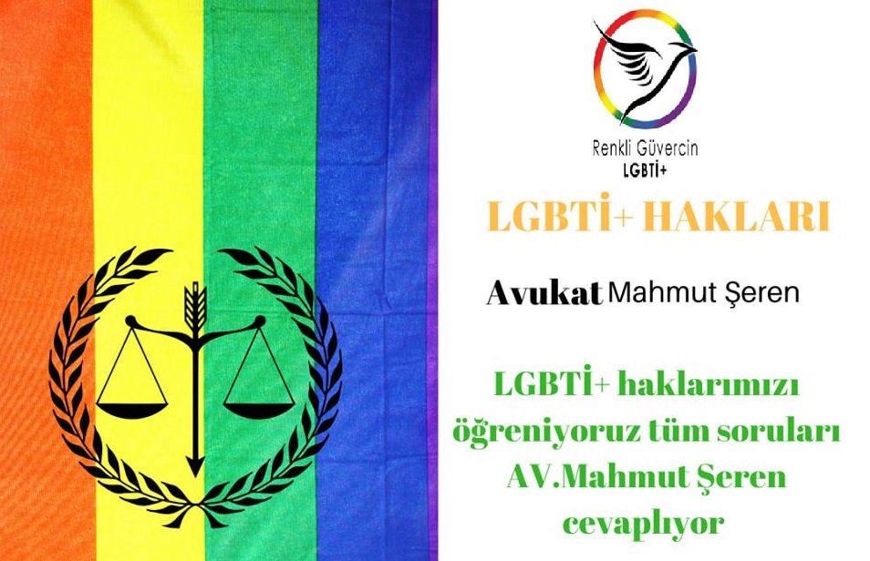 Renkli Güvercin’den LGBTİ+ hakları atölyesi Kaos GL - LGBTİ+ Haber Portalı