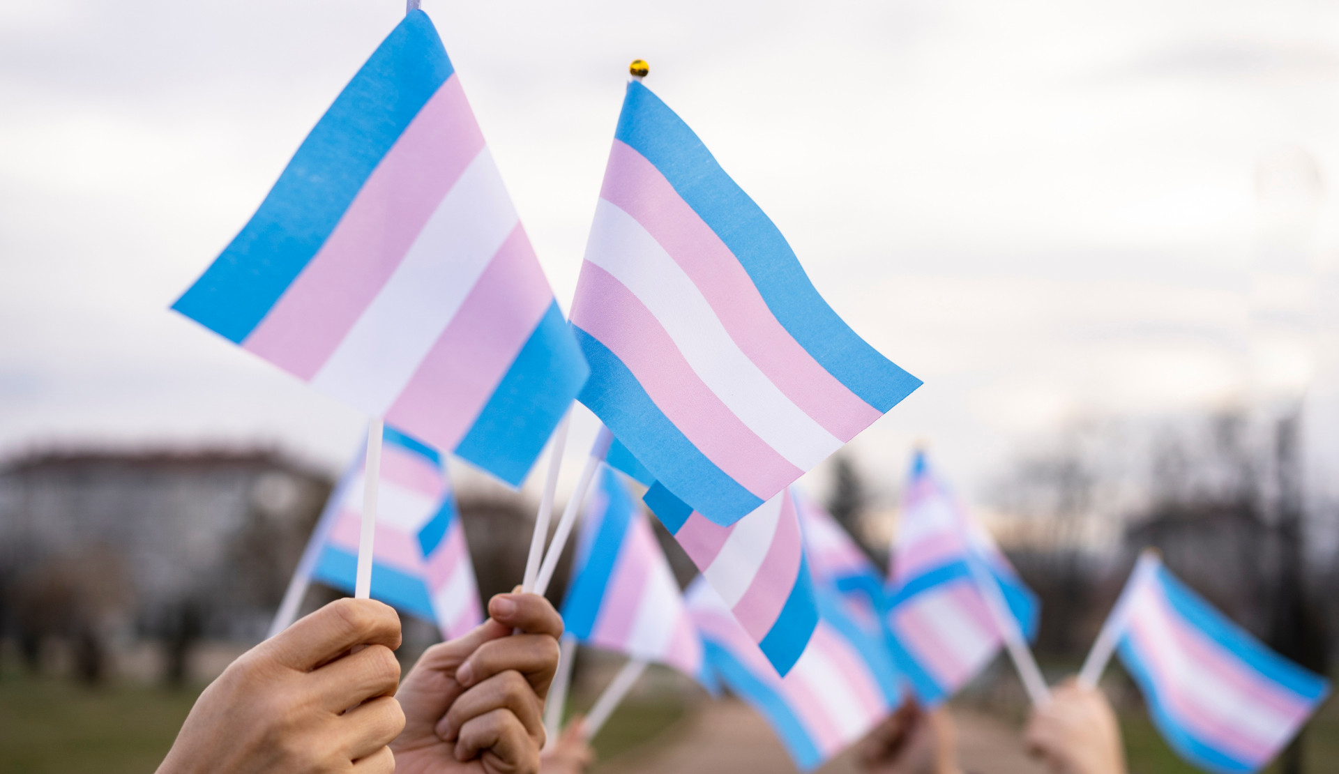 Renkli Güvercin İnisiyatifi’nden 20 Kasım etkinliği: Türkiye’de trans hareketi ve trans cinayetleri Kaos GL - LGBTİ+ Haber Portalı