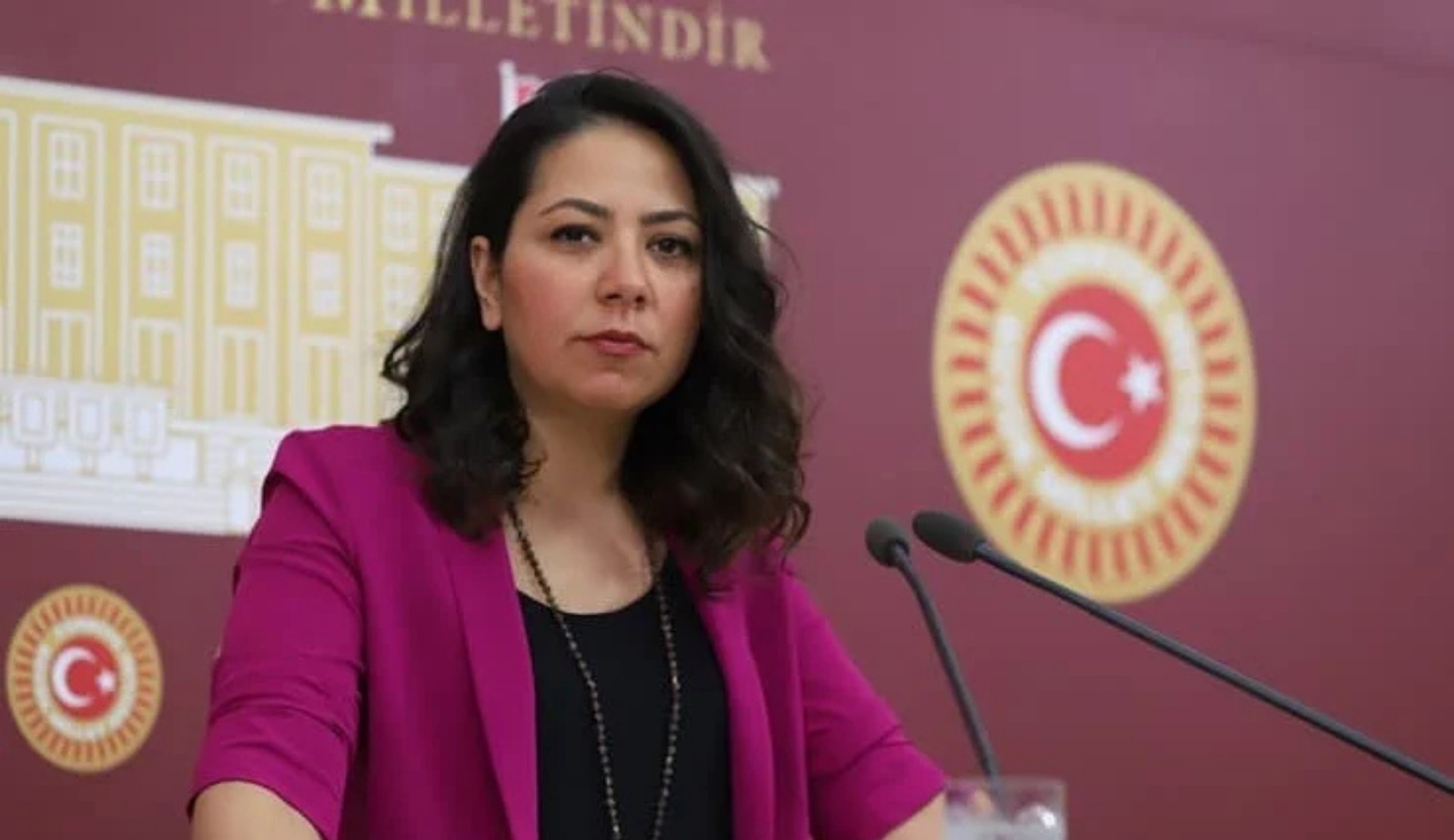 Sera Kadıgil’den Akın Gürlek’e: LGBTİ+ tutuklulara çıplak muayene dayatıldığı iddiaları doğru mu? | Kaos GL - LGBTİ+ Haber Portalı