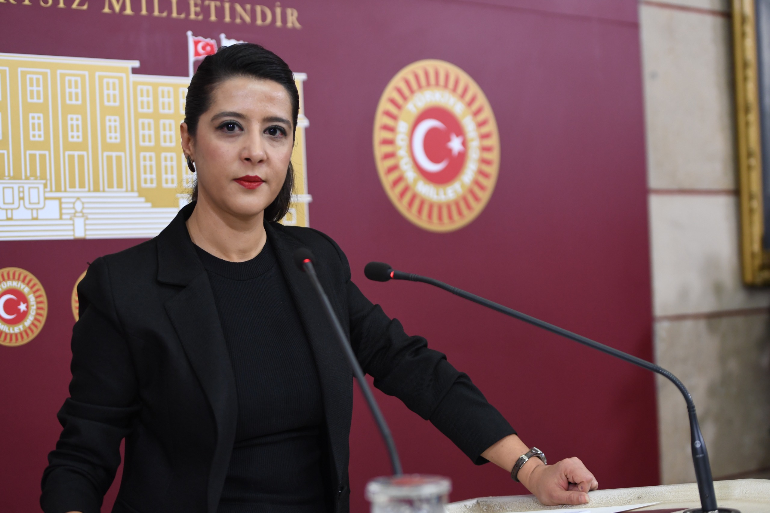 Sevda Karaca, kamu görevlilerinin şiddetine uğrayan trans erkeği İçişleri Bakanı’na sordu Kaos GL - LGBTİ+ Haber Portalı