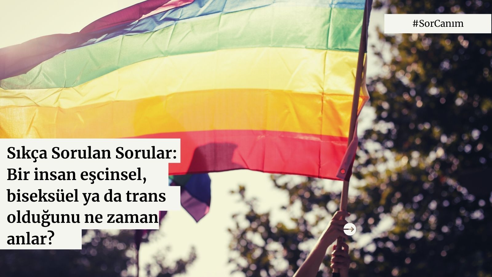 Sor canım: Bir insan lezbiyen, gey, biseksüel ya da trans olduğunu ne zaman anlar? | Kaos GL - LGBTİ+ Haber Portalı