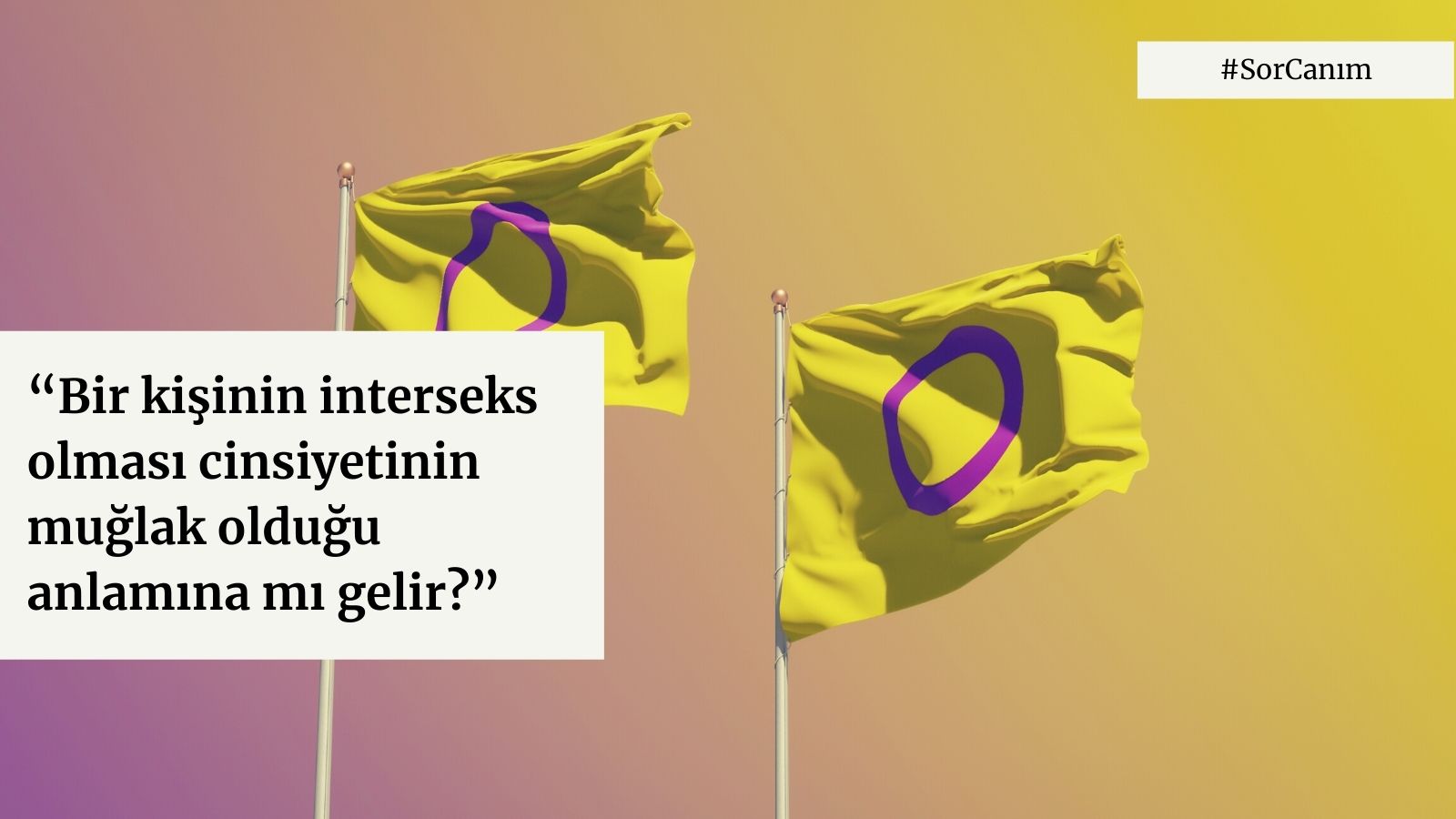 Sor Canım: “Bir kişinin interseks olması cinsiyetinin muğlak olduğu anlamına mı gelir?” | Kaos GL - LGBTİ+ Haber Portalı