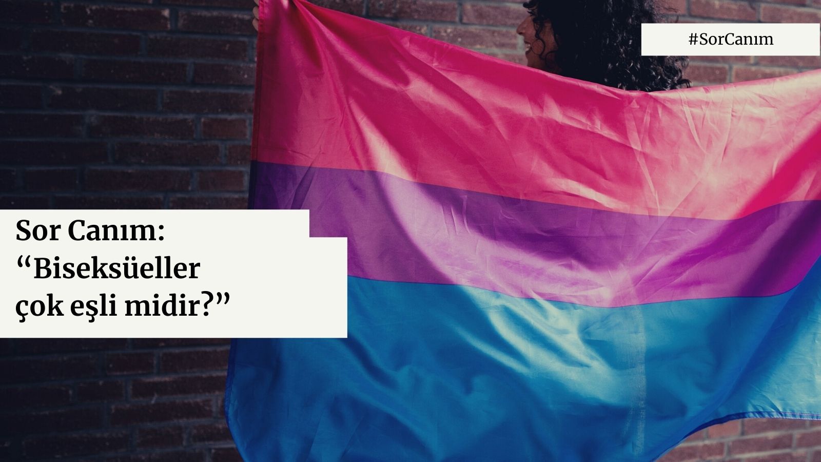 Sor Canım: “Biseksüeller çok eşli midir?” Kaos GL - LGBTİ+ Haber Portalı