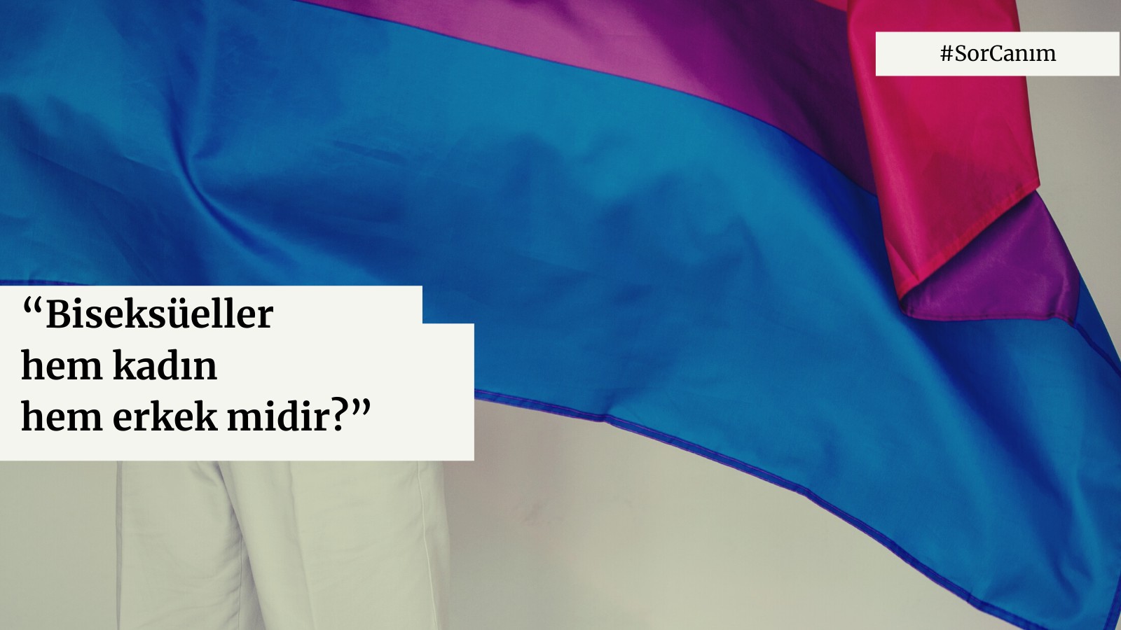 Sor Canım: “Biseksüeller hem kadın hem erkek midir?” Kaos GL - LGBTİ+ Haber Portalı