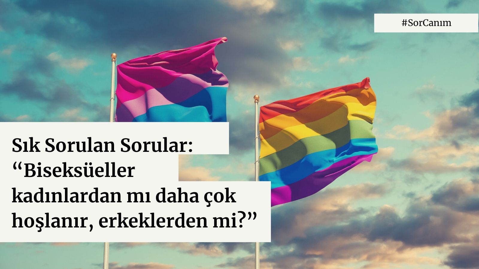 Sor Canım: “Biseksüeller kadınlardan mı daha çok hoşlanır, erkeklerden mi?” Kaos GL - LGBTİ+ Haber Portalı