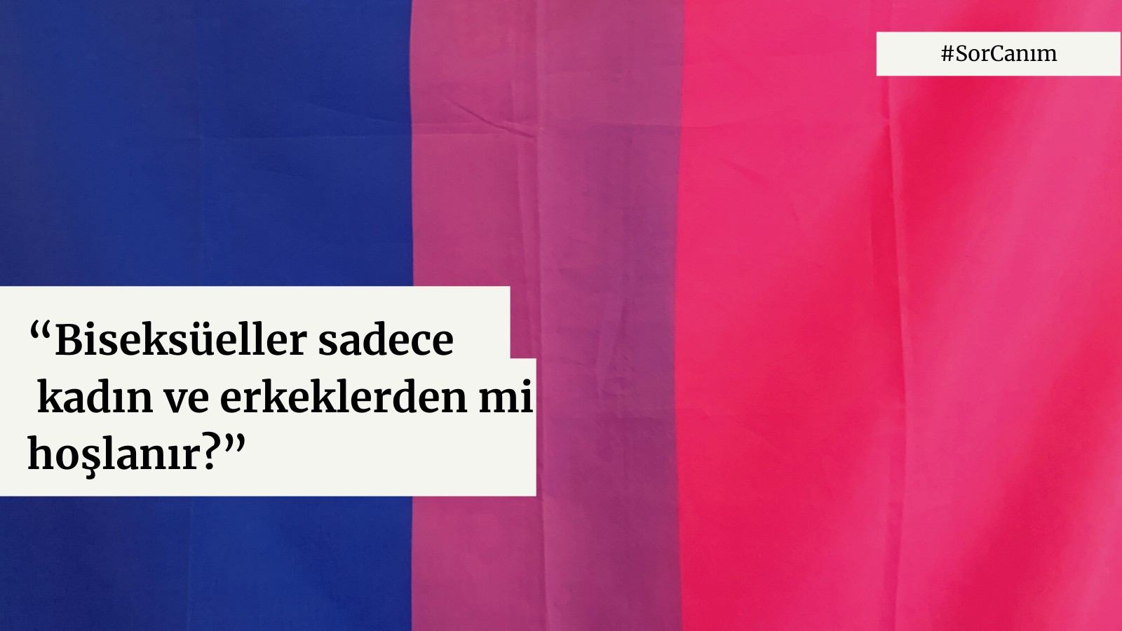 Sor Canım: “Biseksüeller sadece kadın ve erkeklerden mi hoşlanır?” Kaos GL - LGBTİ+ Haber Portalı