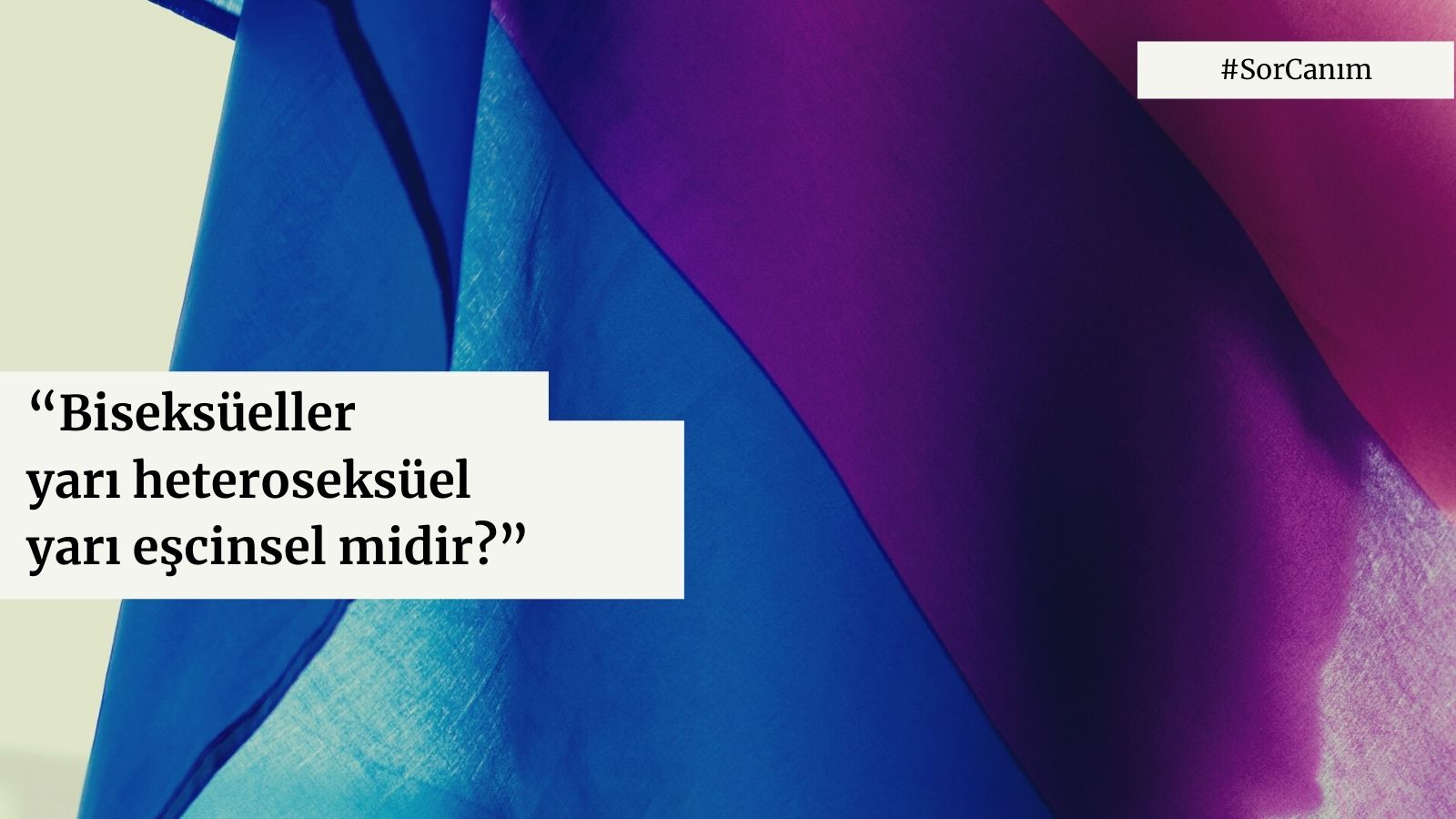 Sor Canım: “Biseksüeller yarı heteroseksüel yarı eşcinsel midir?” Kaos GL - LGBTİ+ Haber Portalı