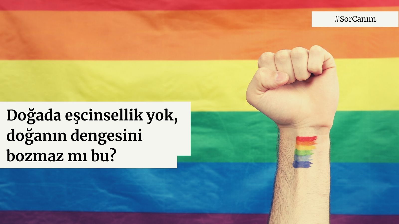 Sor Canım: Doğada eşcinsellik yok, doğanın dengesini bozmaz mı bu? | Kaos GL - LGBTİ+ Haber Portalı