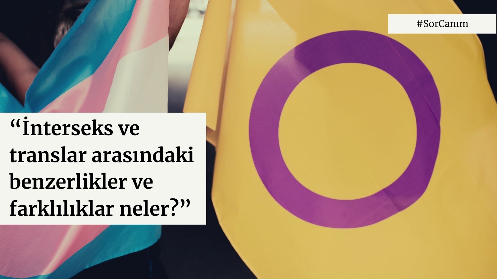 Sor Canım: “İnterseks ve translar arasındaki benzerlikler ve farklılıklar nelerdir?” Kaos GL - LGBTİ+ Haber Portalı