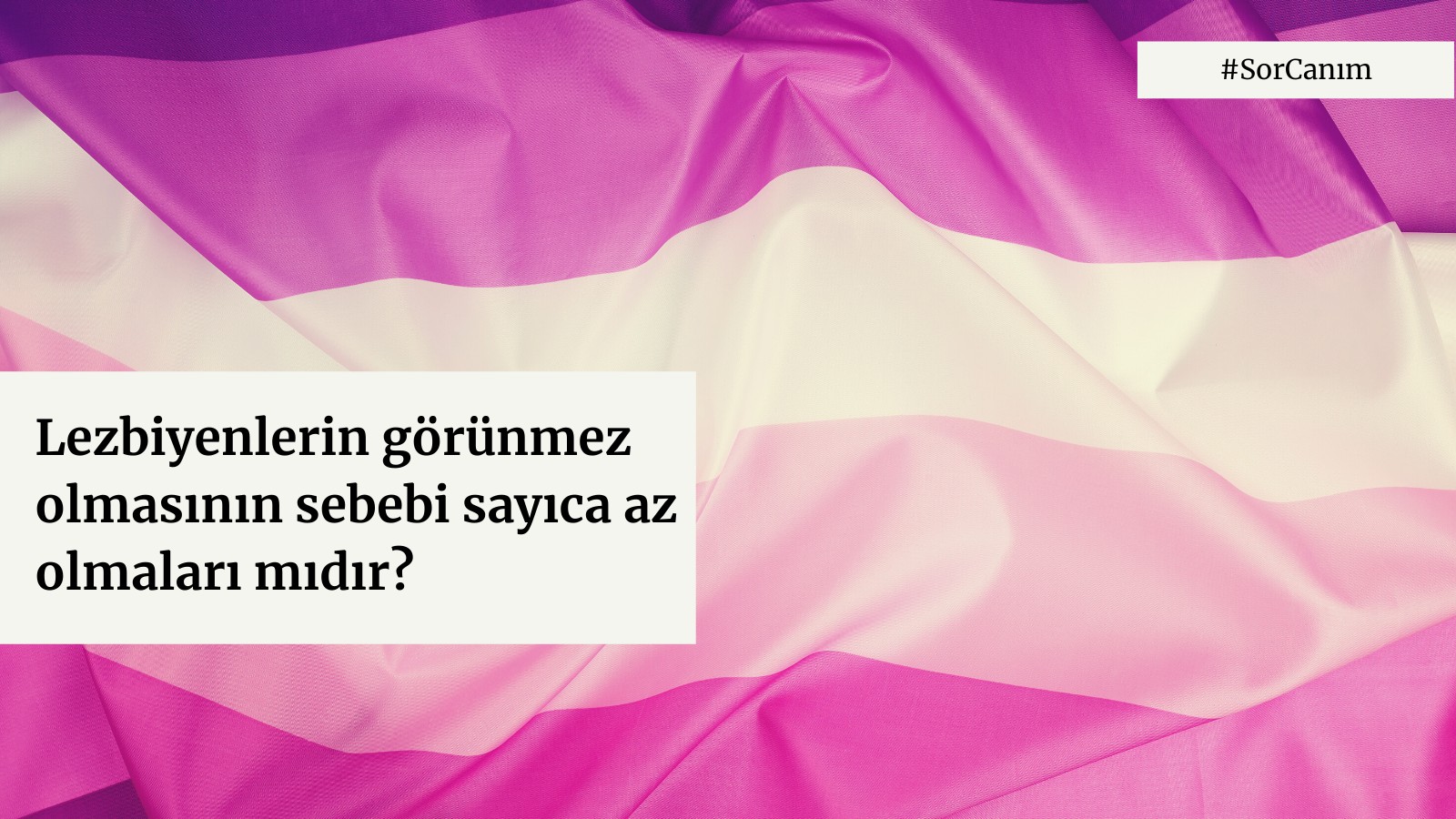 Sor Canım: “Lezbiyenlerin görünmez olmasının sebebi sayıca az olmaları mıdır?” Kaos GL - LGBTİ+ Haber Portalı