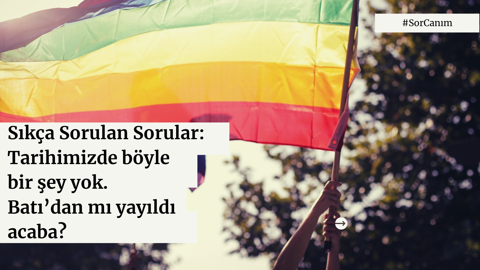 Sor canım: “Tarihimizde böyle bir şey yok. Batı’dan mı yayıldı acaba?” Kaos GL - LGBTİ+ Haber Portalı