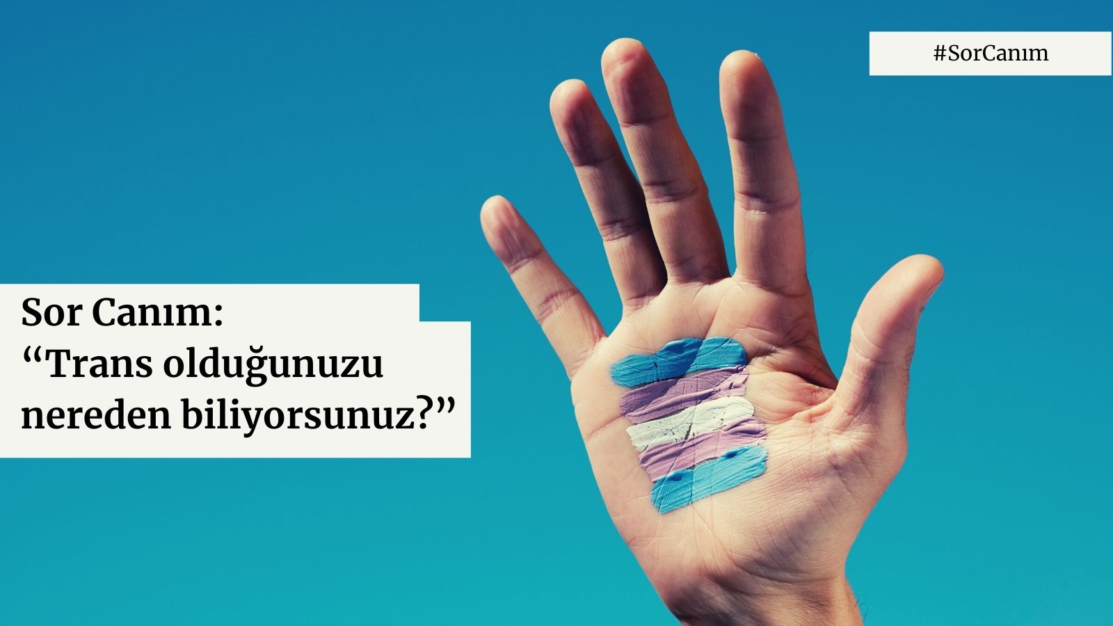 Sor Canım: “Trans olduğunuzu nereden biliyorsunuz?” Kaos GL - LGBTİ+ Haber Portalı