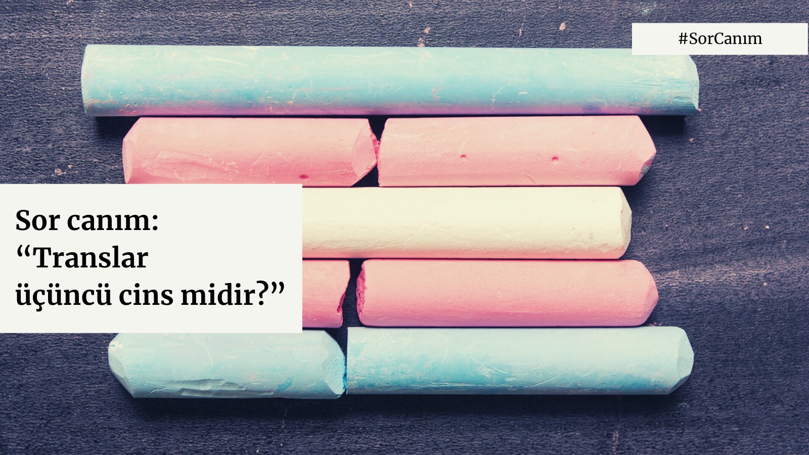 Sor Canım: “Translar üçüncü cins midir?” Kaos GL - LGBTİ+ Haber Portalı