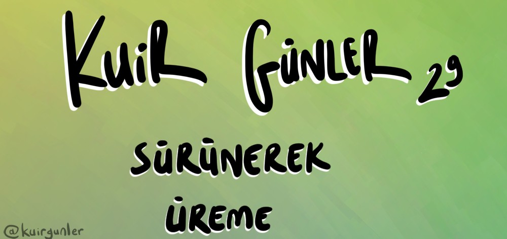 Kuir Günler: Sürünerek ürüme Kaos GL - LGBTİ+ Haber Portalı