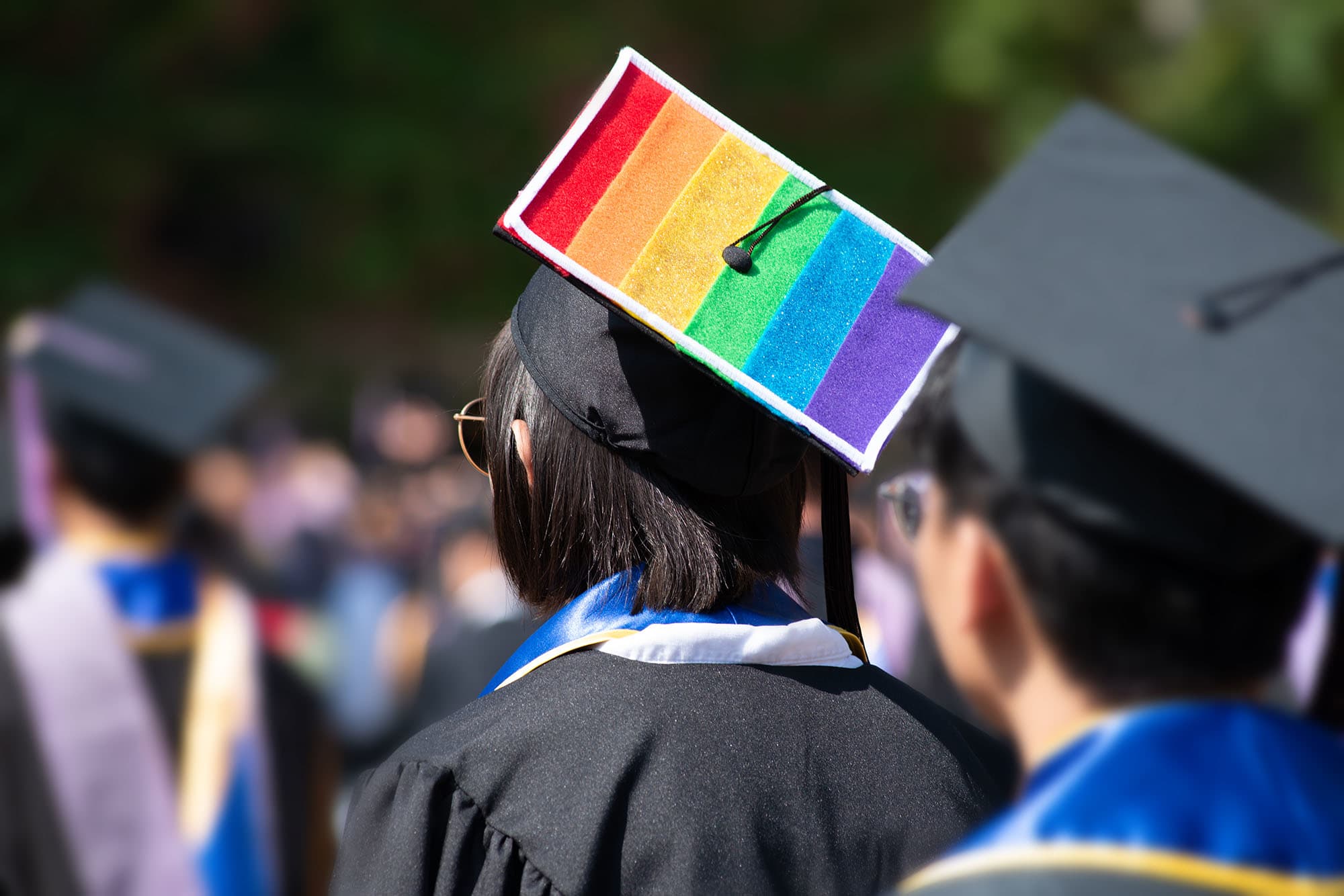 Tercih yapmadan önce bu seriyi oku lubunya Kaos GL - LGBTİ+ Haber Portalı