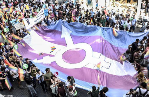 Pembe Hayat: Trans ergenlerle dayanışmaya devam edeceğiz Kaos GL - LGBTİ+ Haber Portalı