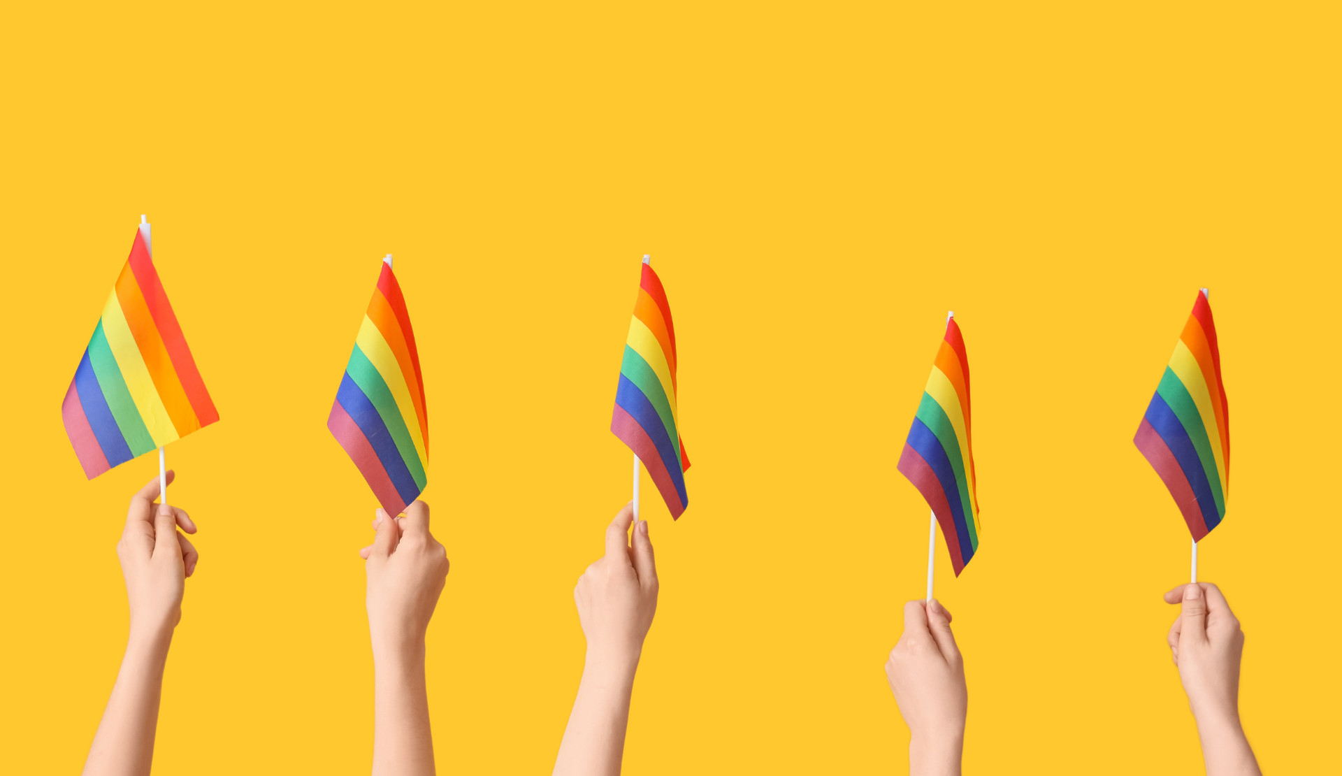 TİHV’den Genç LGBTİ+ davasına çağrı: “İnsan hakları savunucuları yargılanamaz” | Kaos GL - LGBTİ+ Haber Portalı Haber