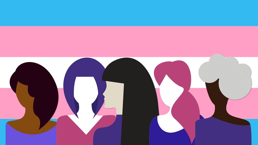 Tiran’da yaşayan evsiz trans kadın saldırıya uğradı Kaos GL - LGBTİ+ Haber Portalı