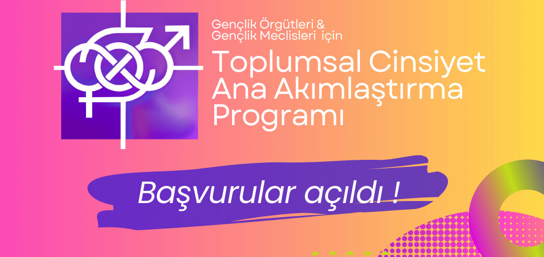 Toplumsal Cinsiyet Anaakımlaştırma Programı katılımcı örgüt başvuruları açıldı! Kaos GL - LGBTİ+ Haber Portalı