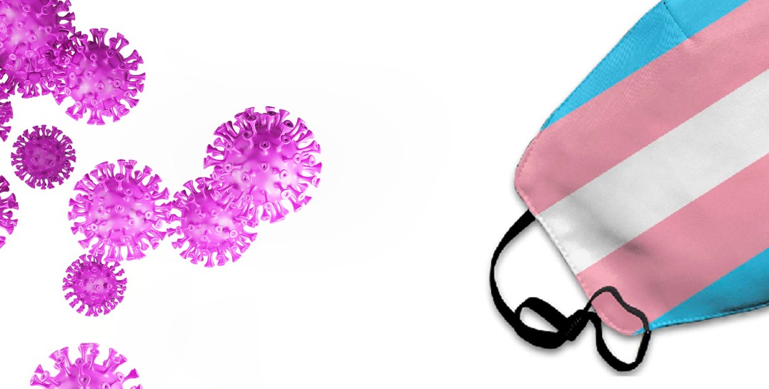 Trans İstanbul İnisiyatifi araştırmaya çağırıyor Kaos GL - LGBTİ+ Haber Portalı