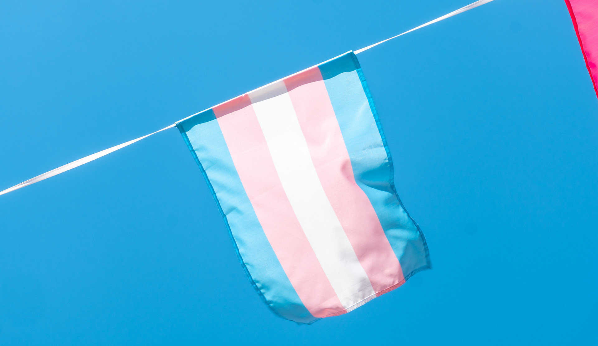 Trans örgütlerinden Trans Görünürlük Günü açıklaması: “Her transın kendi kimliğiyle güven içinde yürüdüğü bir gelecek için mücadele edeceğiz” | Kaos GL - LGBTİ+ Haber Portalı Haber