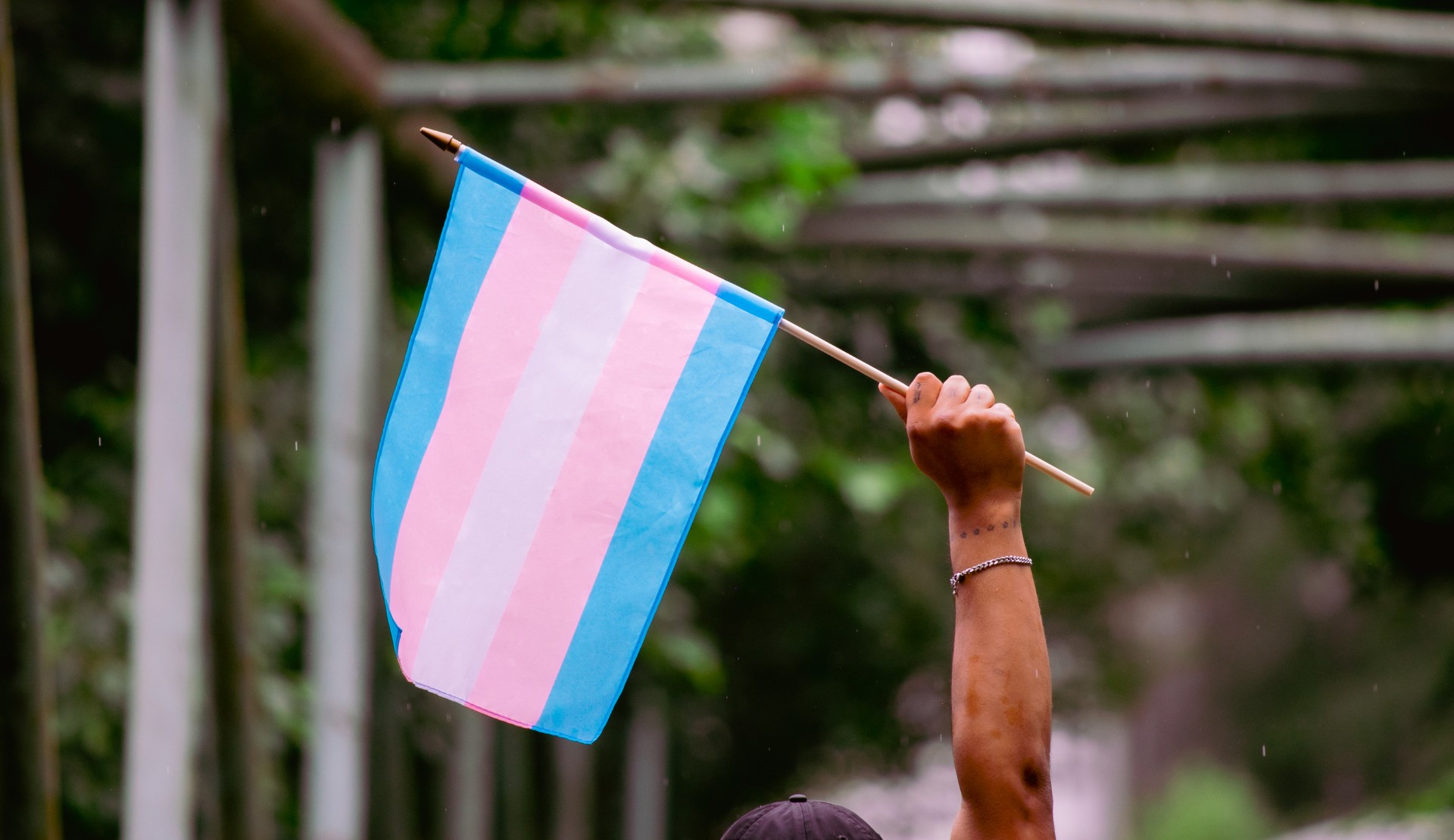 “Transların mücadelesi, baskı ve şiddete maruz kalan herkes için” | Kaos GL - LGBTİ+ Haber Portalı Haber