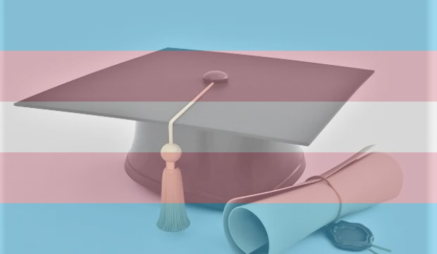 Transların, üniversite belgelerinin değiştirilmesi taleplerine üniversiteler nasıl yaklaşıyor? | Kaos GL - LGBTİ+ Haber Portalı