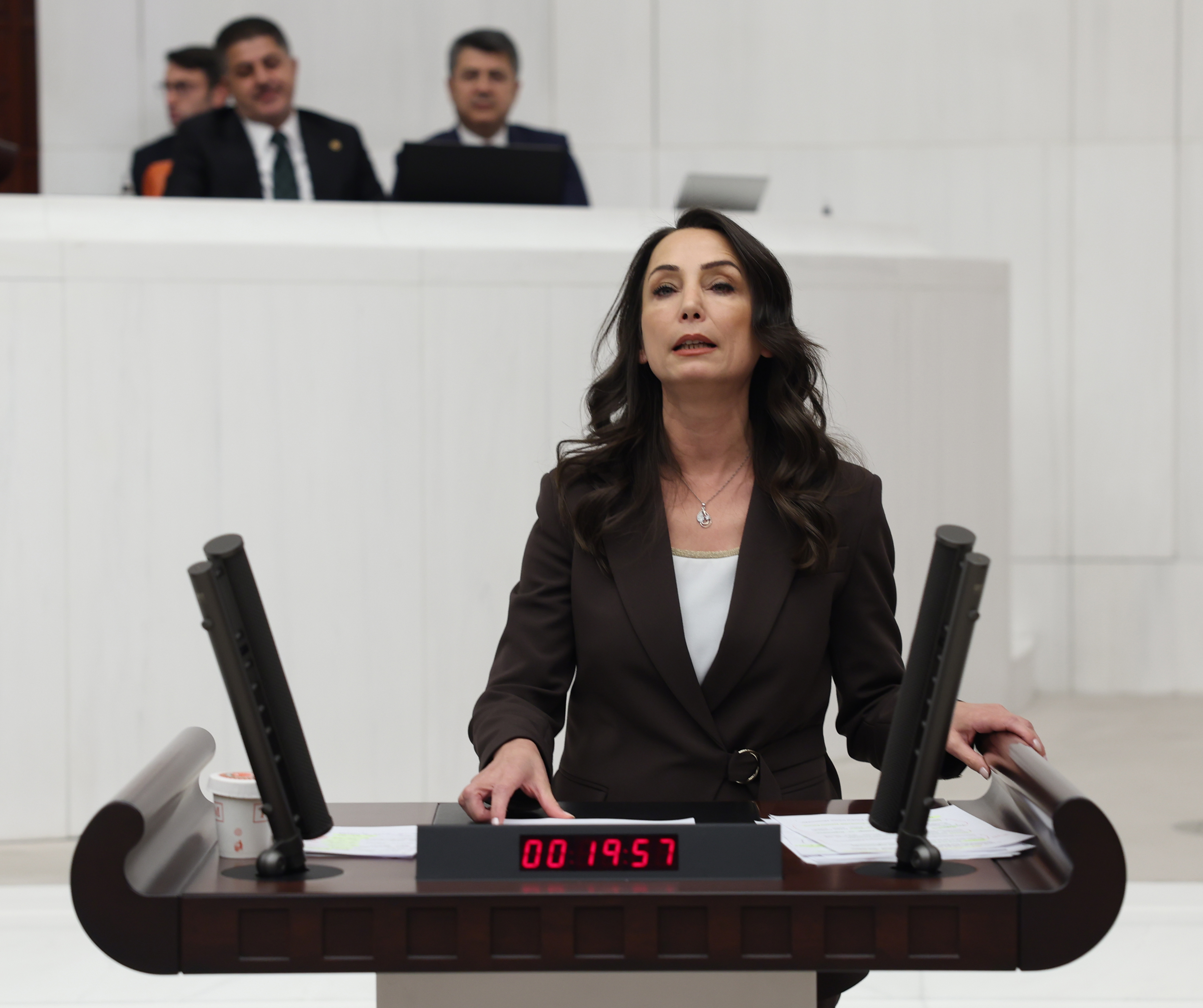 Tülay Hatimoğulları: "Kadınların, LGBTİ+’ların, gençlerin, çocukların yaşam haklarını ve özgürlüklerini yok sayan bir bütçe demokratik olamaz" | Kaos GL - LGBTİ+ Haber Portalı Haber
