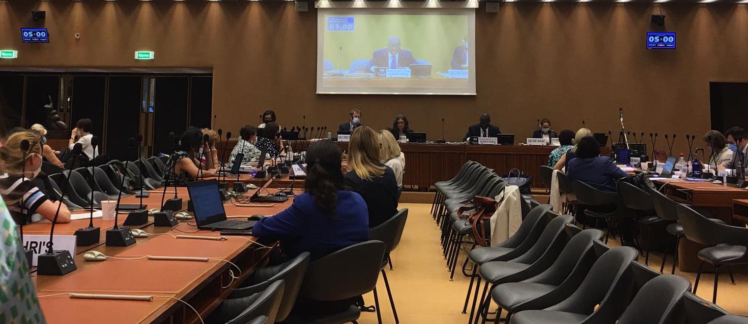 Türkiye’den LGBTİ+ örgütleri CEDAW’da: Siyasetçilerin nefret söylemi ve polisin keyfî tutumunu durdurdun | Kaos GL - LGBTİ+ Haber Portalı