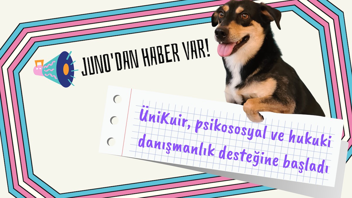 ÜniKuir’in hukuki ve psikososyal danışmanlığı başladı Kaos GL - LGBTİ+ Haber Portalı