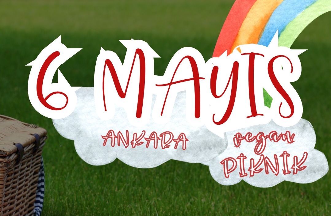 ÜniKuir ve Ankara Health Save davet ediyor: Vegan Piknik Kaos GL - LGBTİ+ Haber Portalı