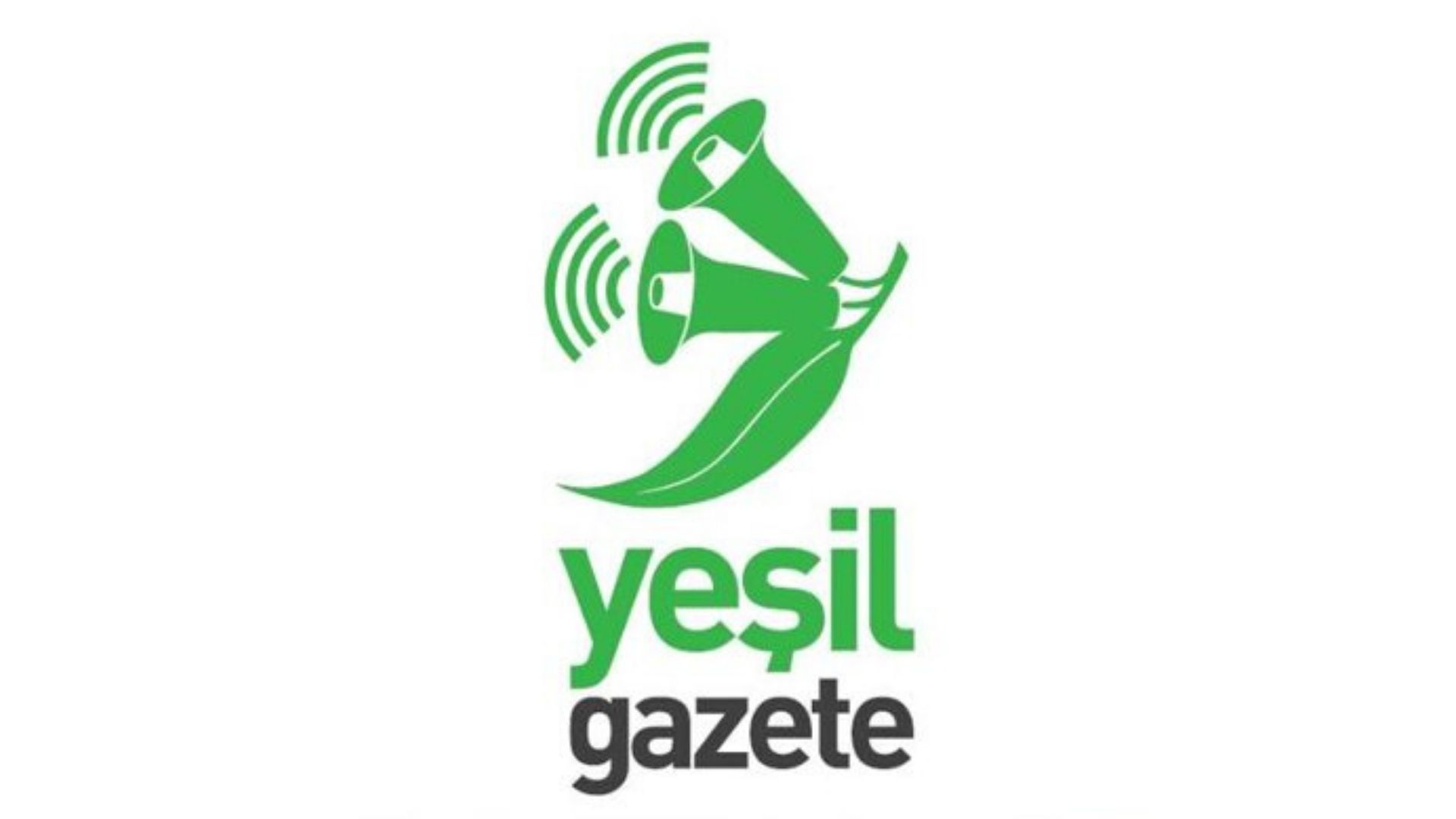 Yeşil Gazete LGBTİ+ aktivistlerine soruyor Kaos GL - LGBTİ+ Haber Portalı