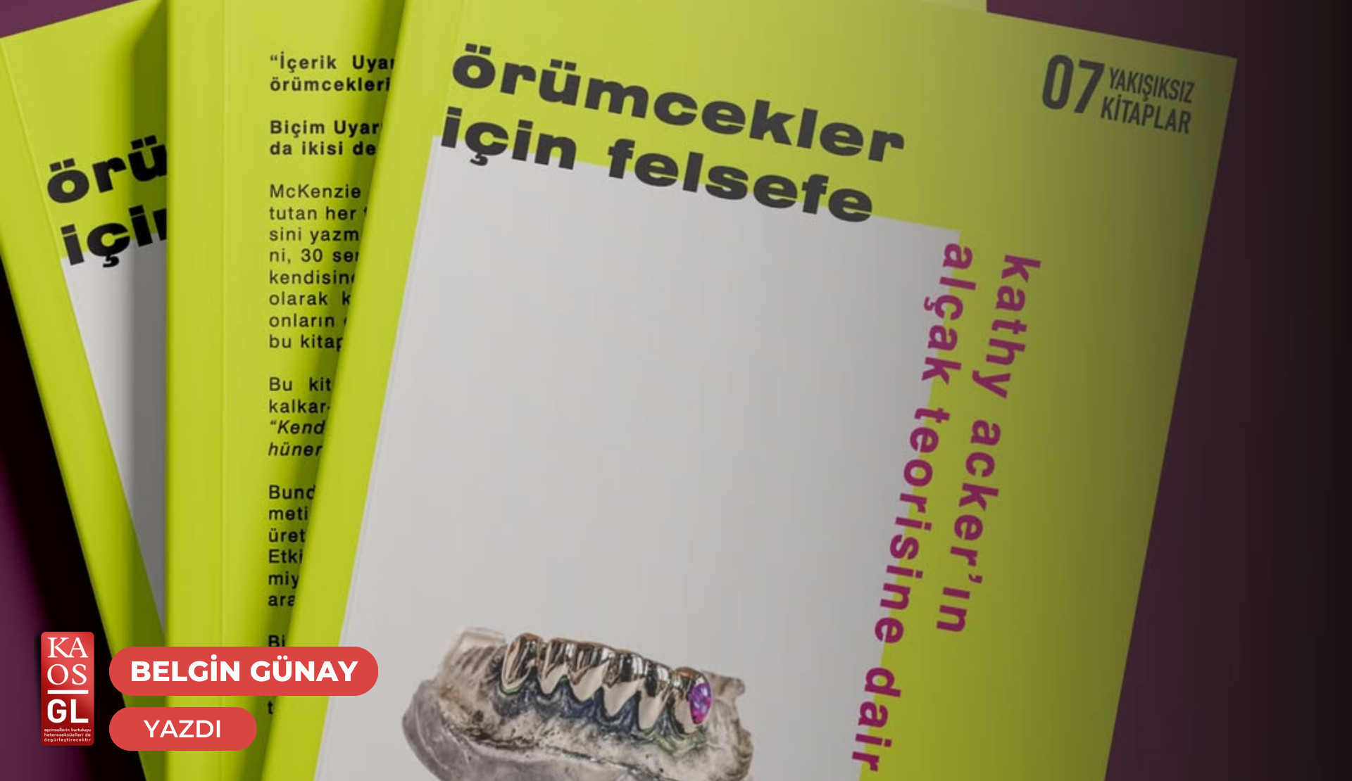Ağın tam ortasında: “Örümcekler İçin Felsefe” | Kaos GL - LGBTİ+ Haber Portalı Gökkuşağı Forumu Köşe Yazısı