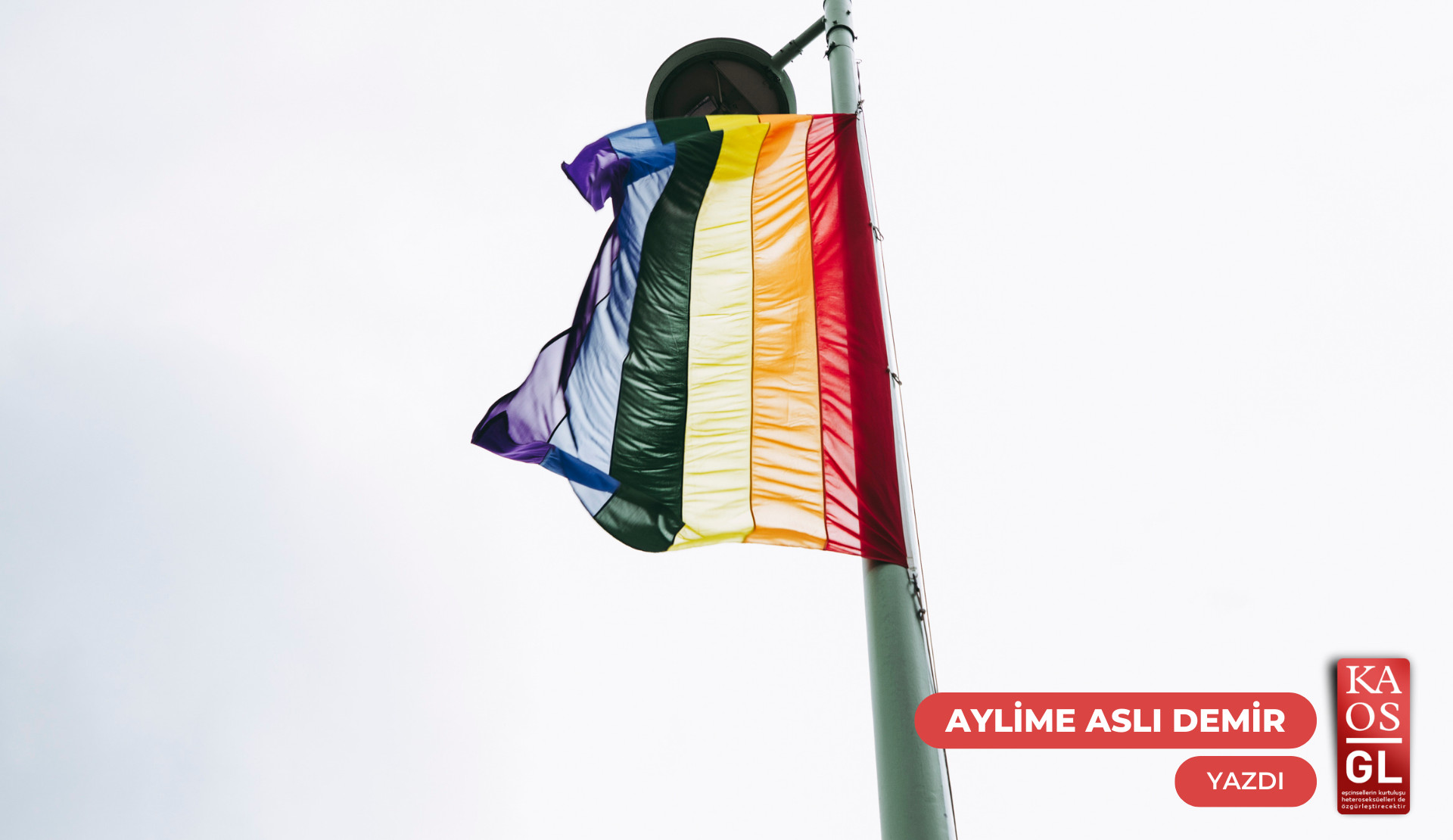 Ayrık otu köklendirme stratejileri | Kaos GL - LGBTİ+ Haber Portalı Gökkuşağı Forumu Köşe Yazısı
