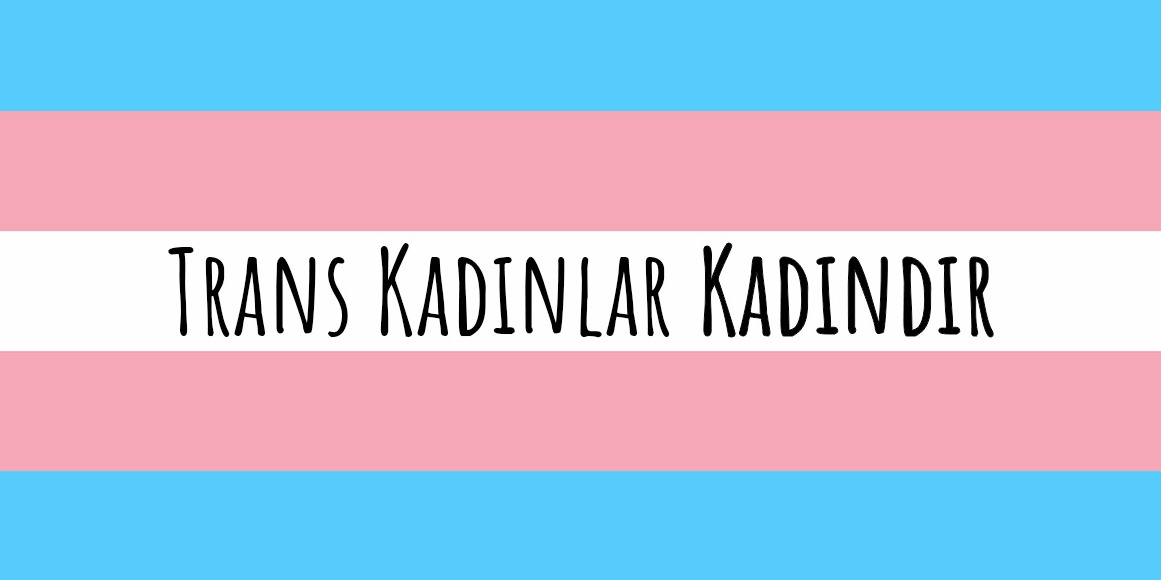 Feminist bir yöntemle transfobiye bakmak | Kaos GL - LGBTİ+ Haber Portalı Gökkuşağı Forumu Köşe Yazısı